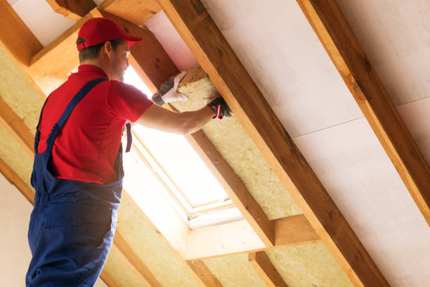 Best Attic Insulation Installation  in Montalvin Manor, CA